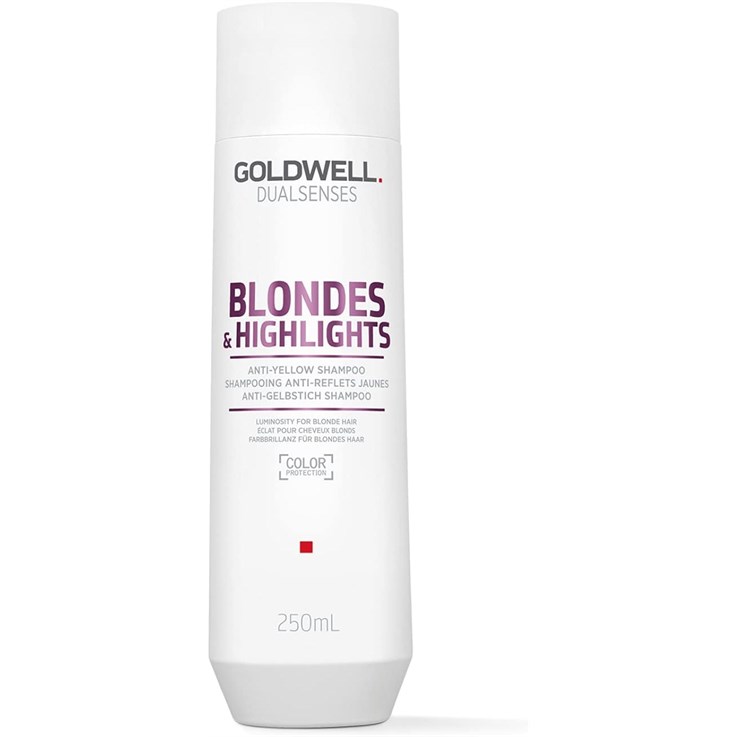 Goldwell DualSenses Blonde & Highlights Shampoo 250ml