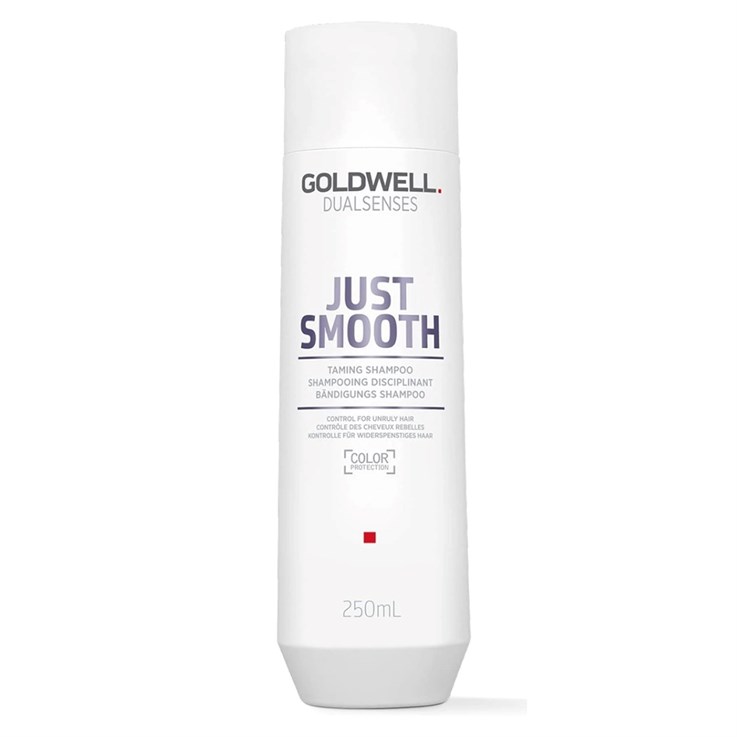 Goldwell DualSenses Just Smooth Shampoo 250ml