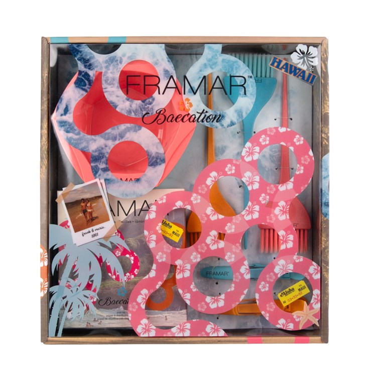 Framar Baecation Colorist Kit