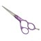 Agenda STR Fusion Scissor 5.5" Purple